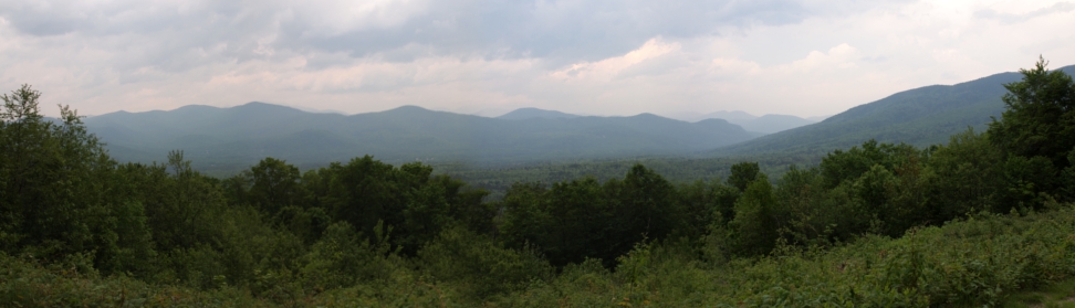 [Several photos stitched to display a panoramic view of the distant mountains in a blue, overcast rainy haze. Foreground is a thick green-treed fence.]